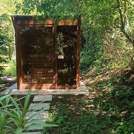 Vila Fuege Vendeghaz Sajkod Tihany Exteriér fotografie